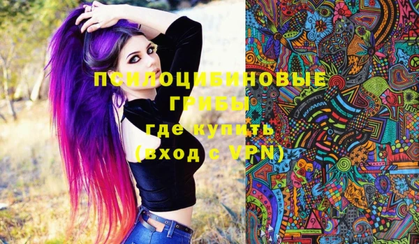 сатива Надым