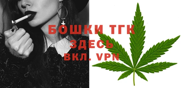 сатива Надым