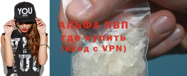 сатива Надым