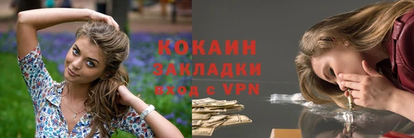 сатива Надым
