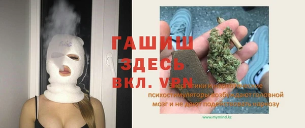 сатива Надым